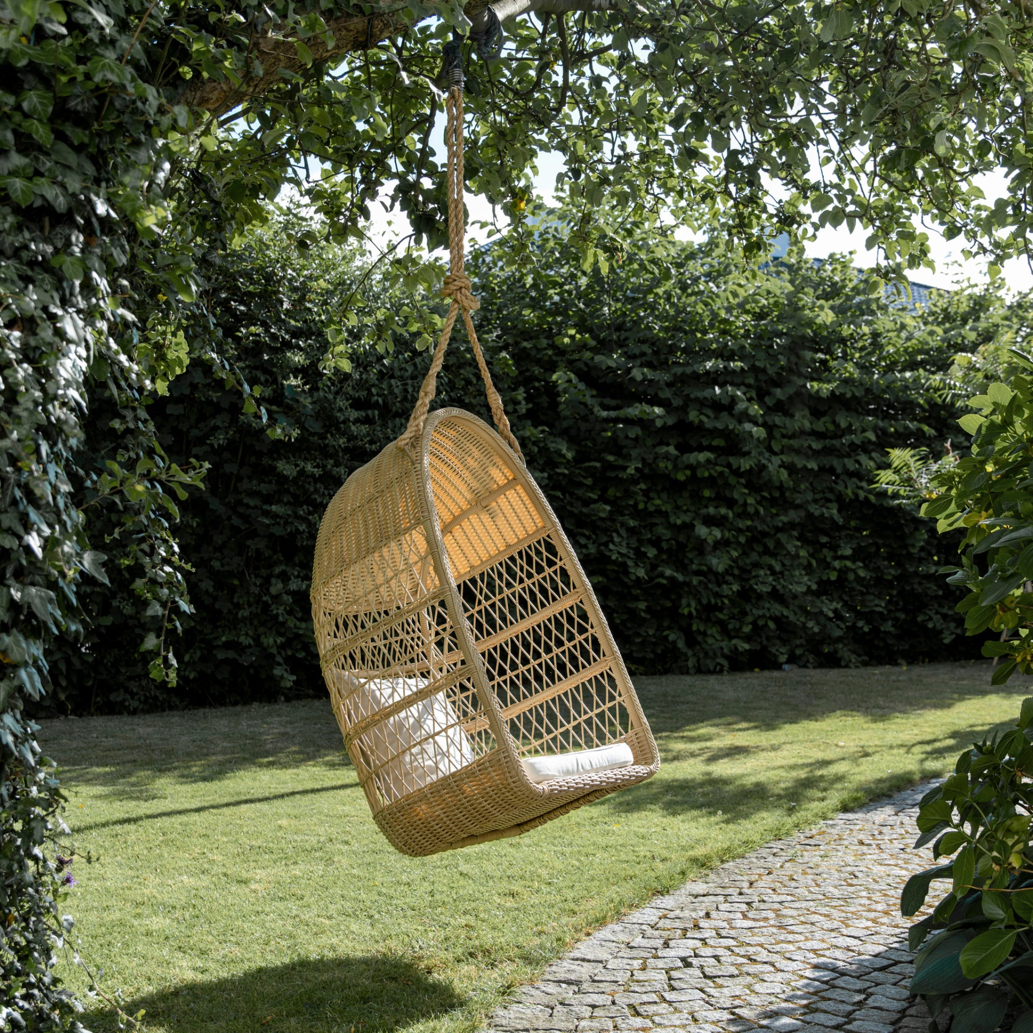 Evelyn Hanging Chair